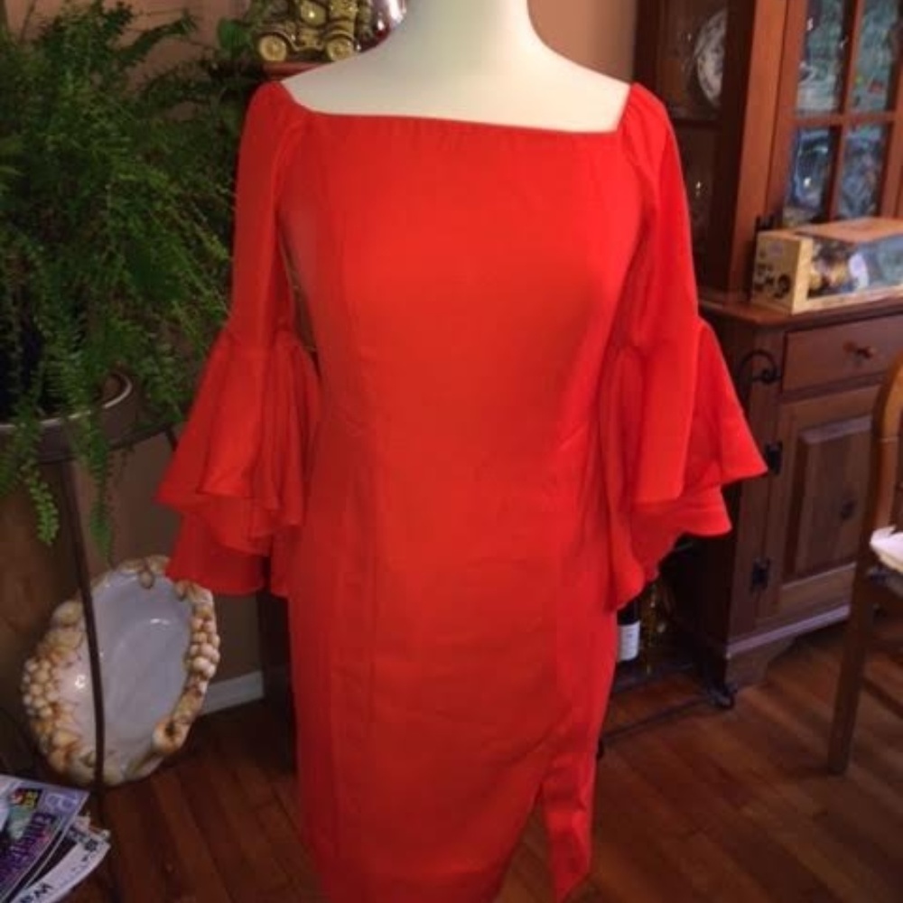Trumpet Sleeve, zip back dress
